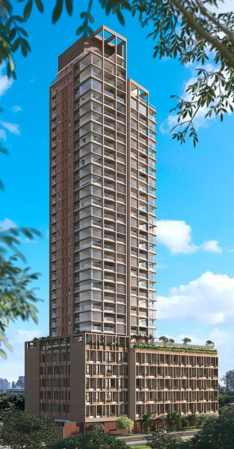 eleva harmonia studio