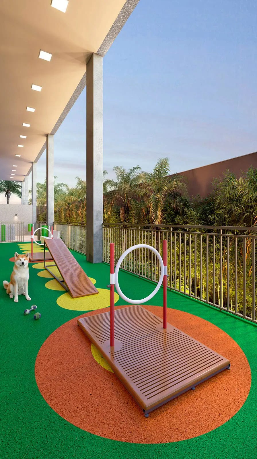 eleva harmonia studio